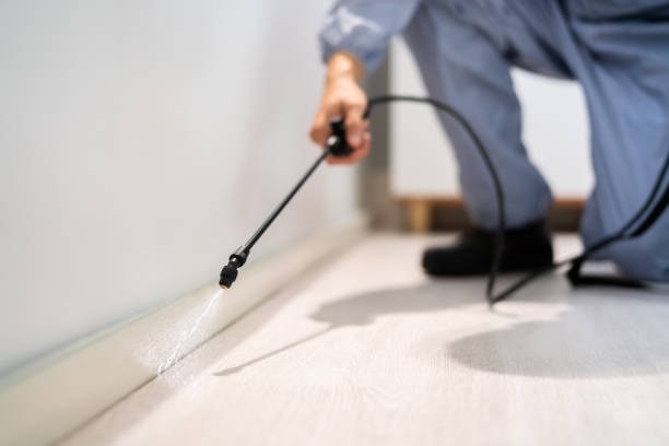 Licensed Termite Control service in Clovis, NM - Nex Pest Control
