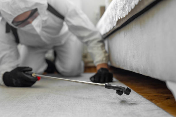 Professional Termite Control technician working in Clovis, NM