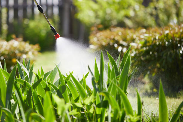 24/7 Emergency Termite Control experts in Clovis, NM