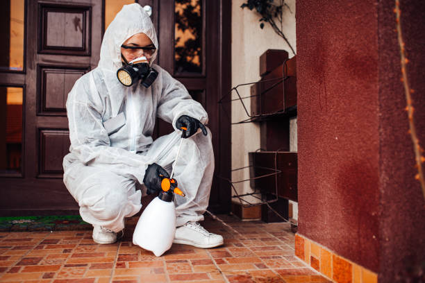 Reliable Termite Control contractor in Clovis, NM by Nex Pest Control